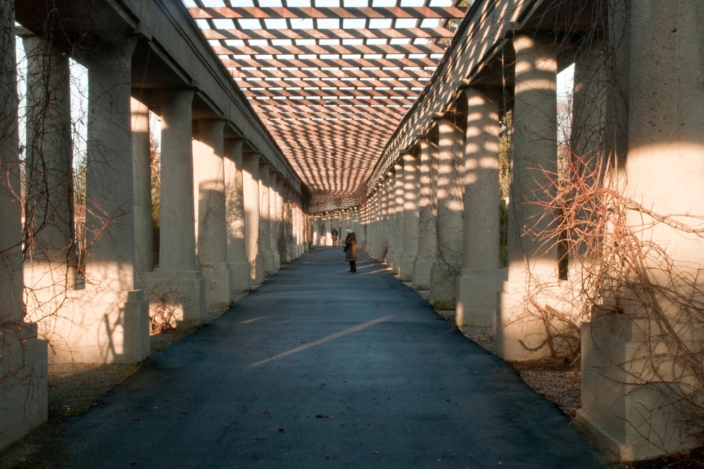 The Benefits of Aluminium Pergolas