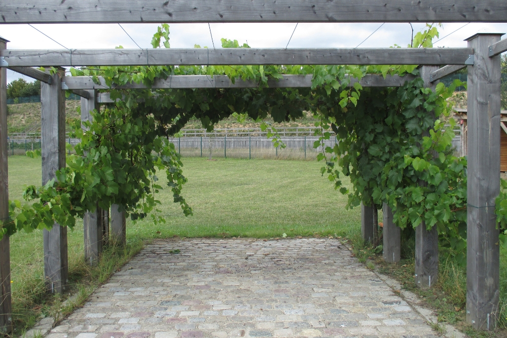 Creating the Perfect Outdoor Entertainment Space under an Aluminium Pergola