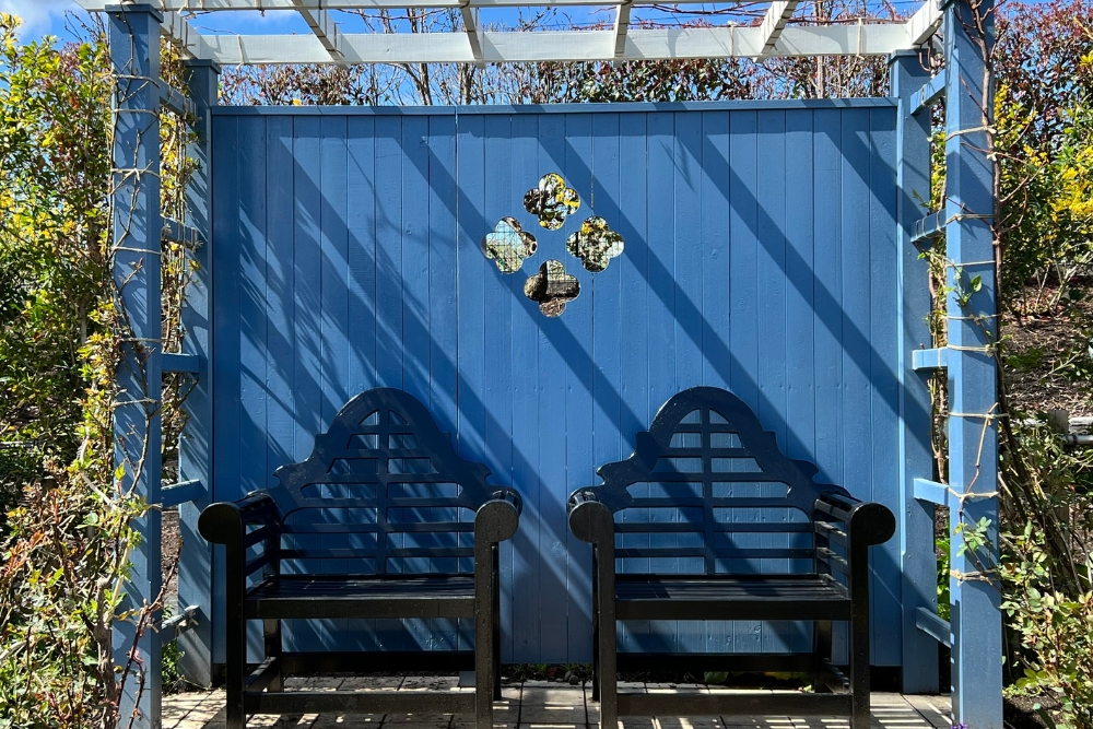 Enhancing Your Outdoor Space with a Pergola