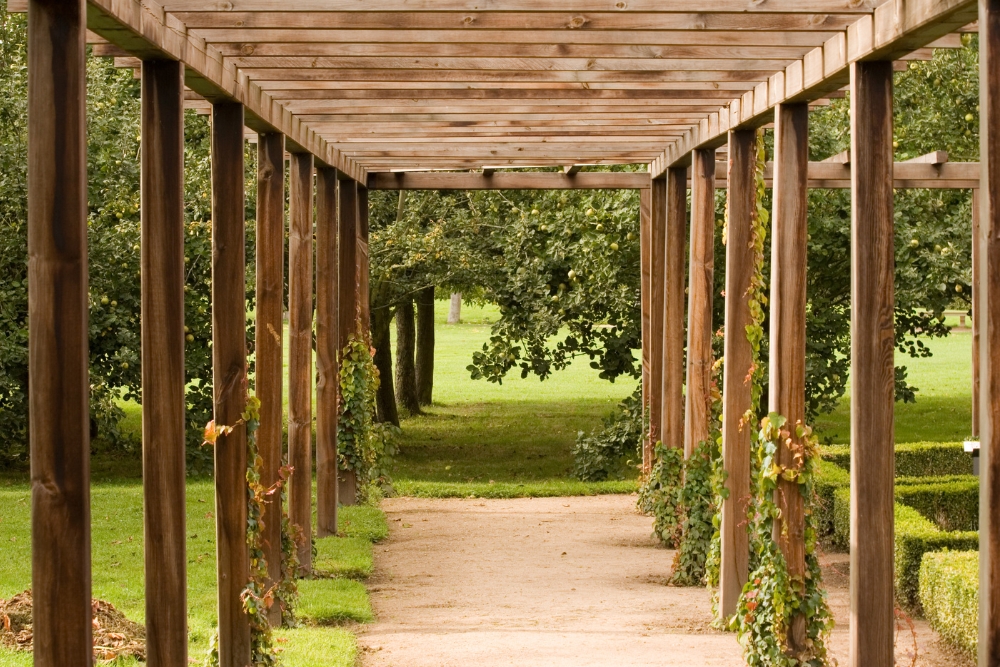 Wooden pergolas with a garden view around