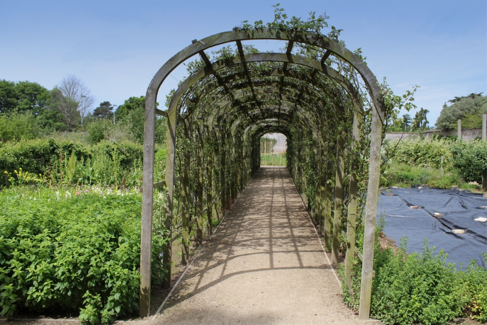 Enhancing Your Outdoor Space with Aluminum Pergolas