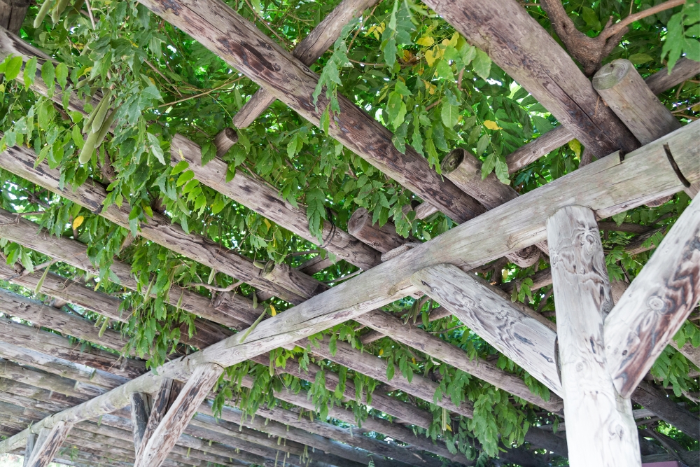 What is a Pergola and its Purposes