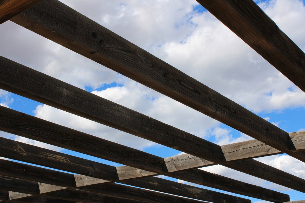 Benefits of Wooden Pergolas for Rooftop Gardens