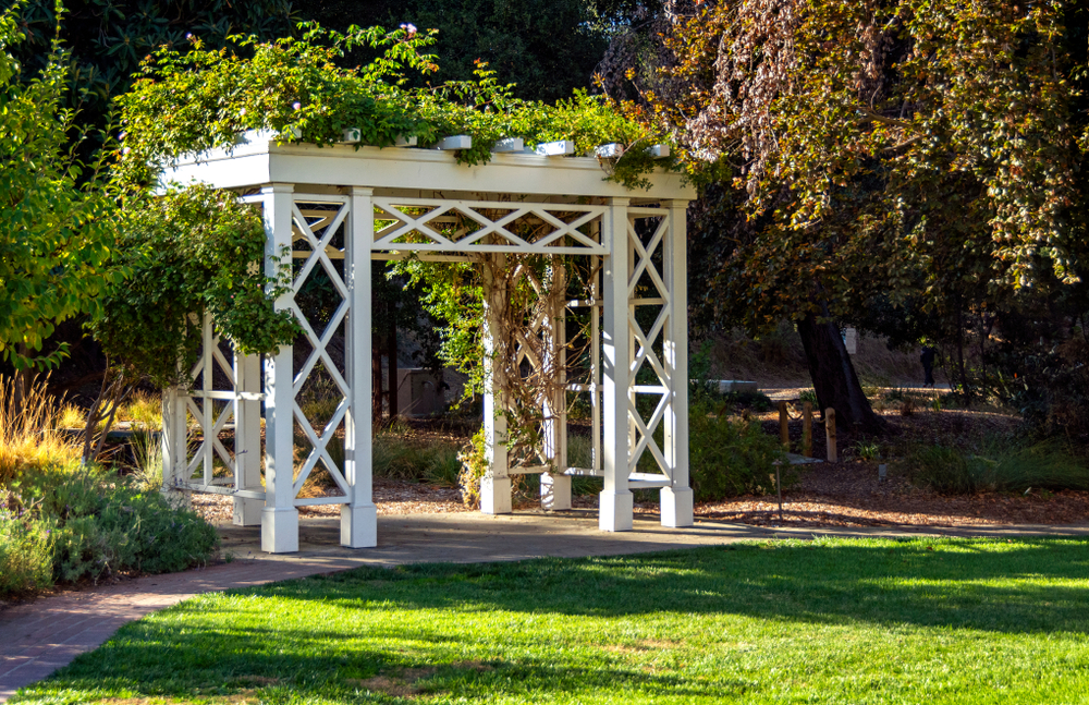 Designing a Focal Point Pergola

