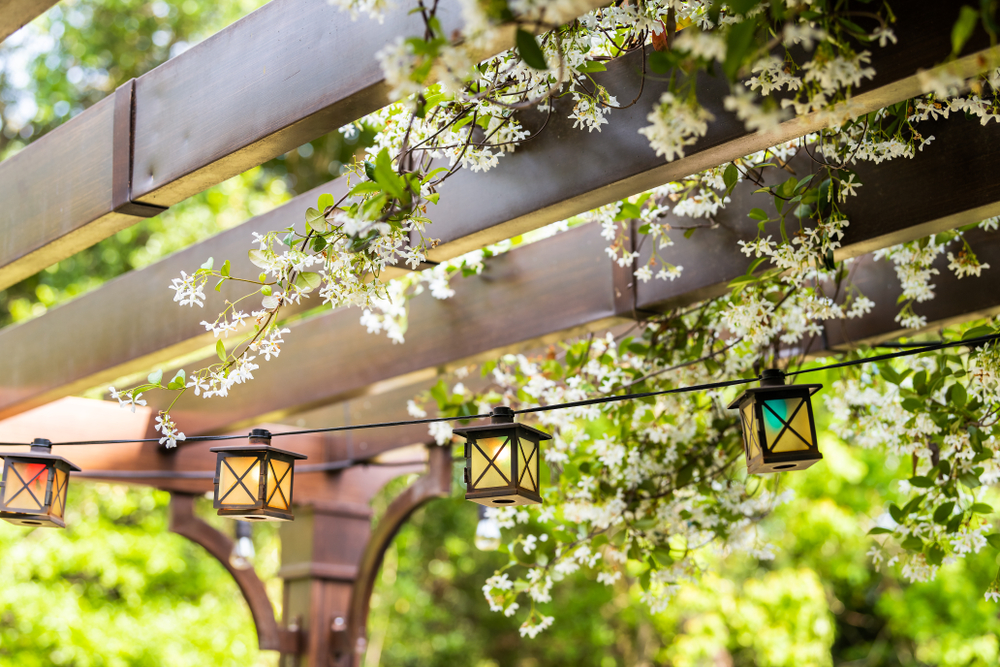 Growing Green: Enhancing Your Garden with Hanging Pot Plants on Aluminium Pergolas